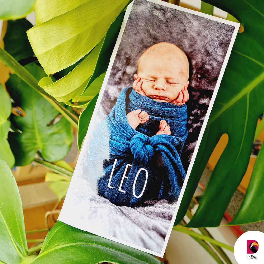 Leo