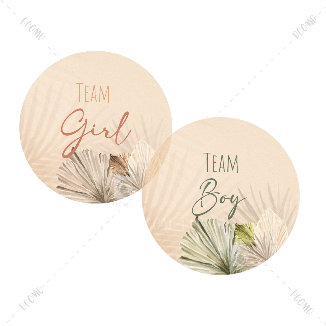 Pampa gender reveal