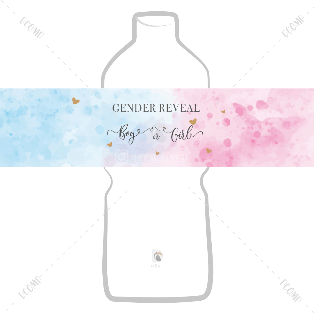 Gender Reveal Nounours rose et bleu II